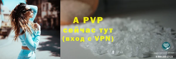 гидра Белокуриха