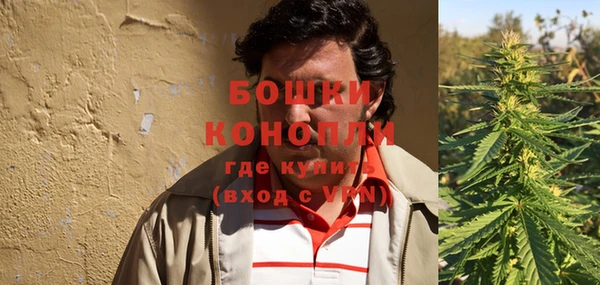гидра Белокуриха