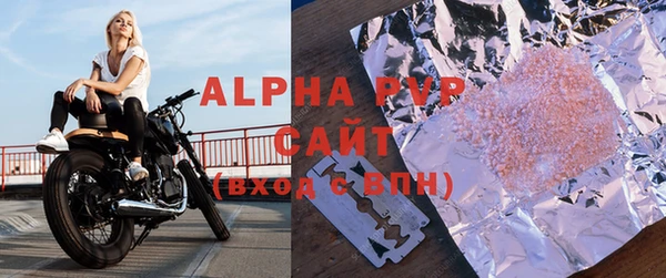гидра Белокуриха
