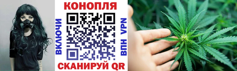 Бошки марихуана OG Kush  дарнет шоп  Горячий Ключ 